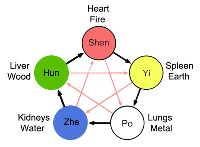 Vilket Kinesiskt Element Tillhör Din Häst?